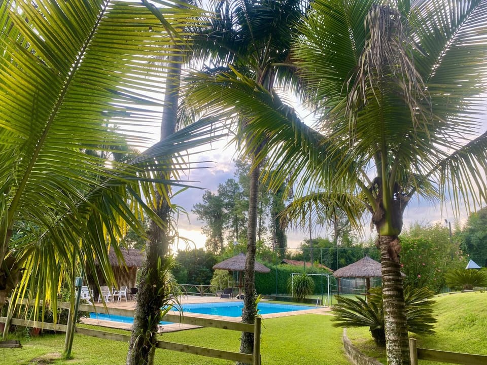 Garden, Garden view, Pool view, sunbed