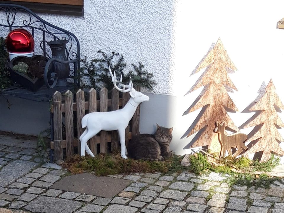 Feichtlhof Apartment in Salzburgerland
