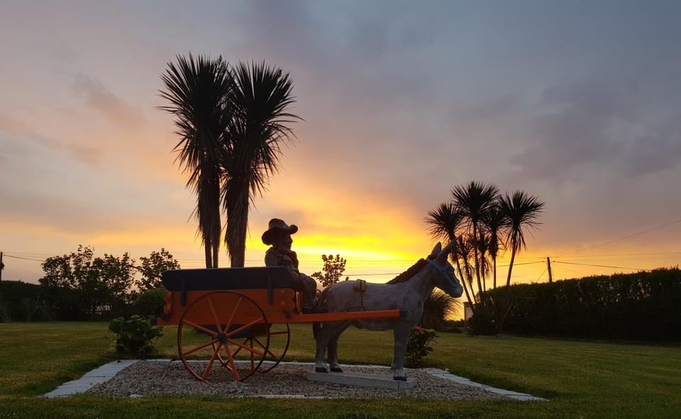 Garden view, Sunset