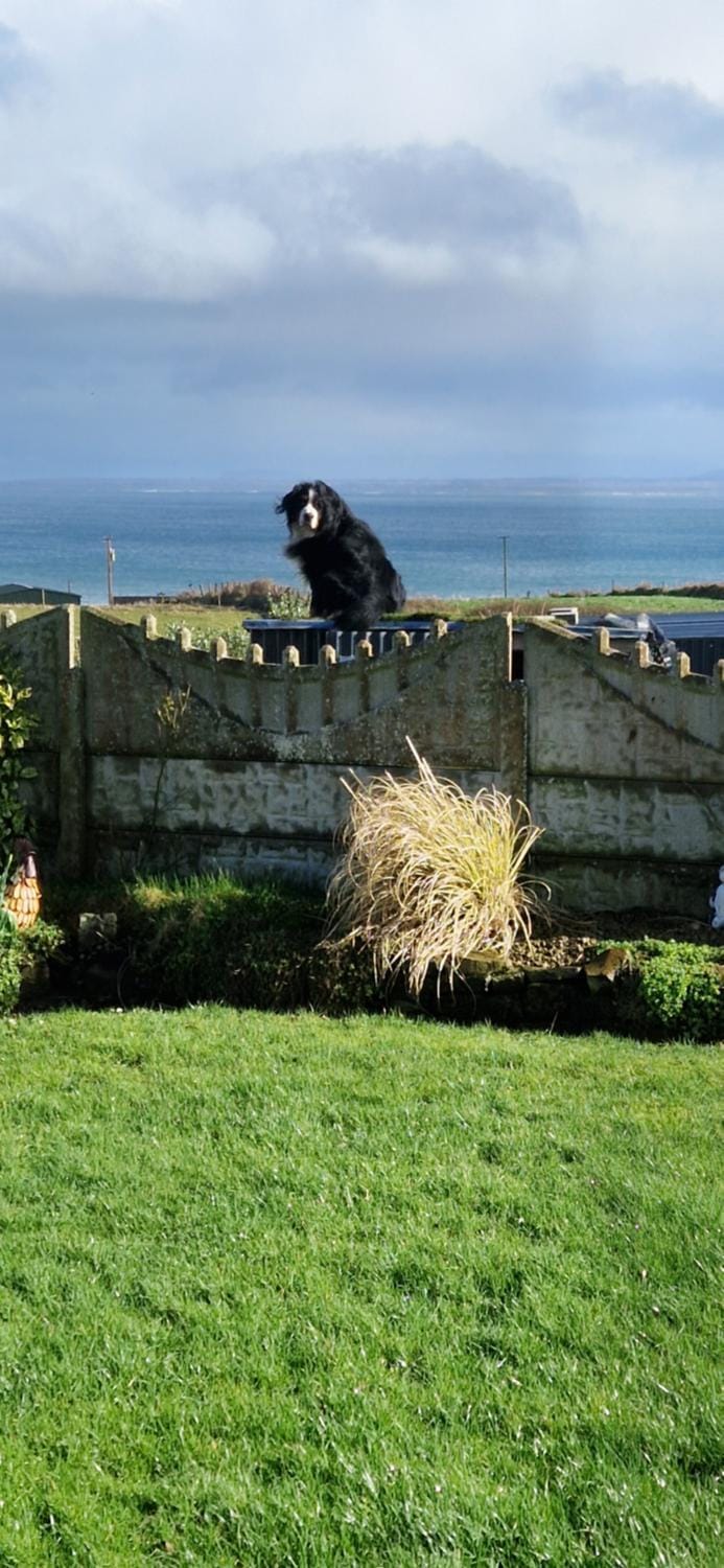Sunrise view Bed and Breakfast in County Mayo