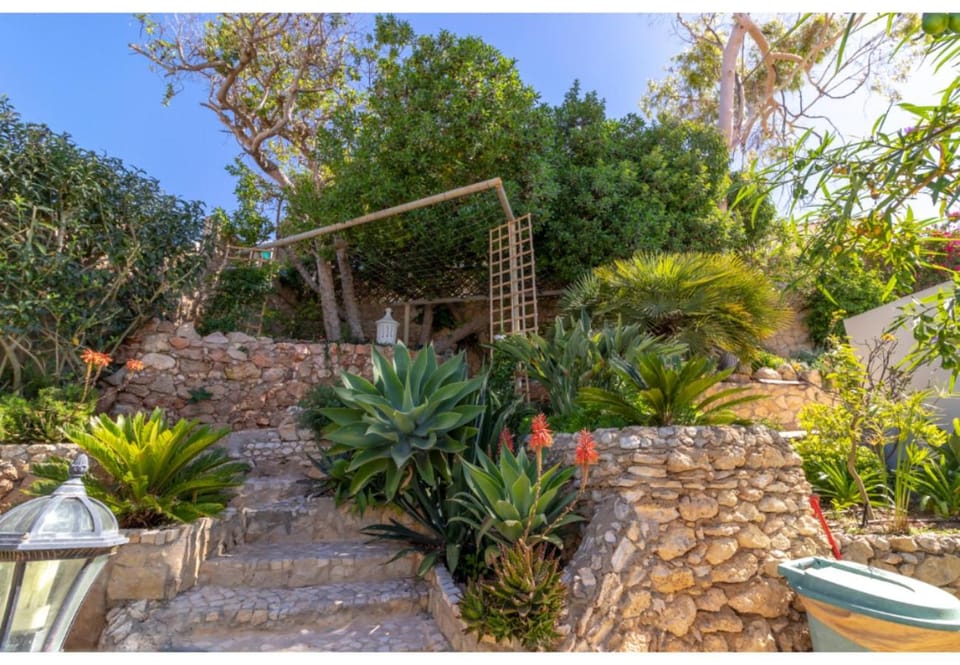 Patio, Garden, Garden view