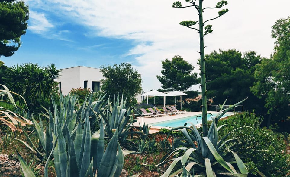 Day, Natural landscape, Garden, Garden view, Pool view, Swimming pool, sunbed