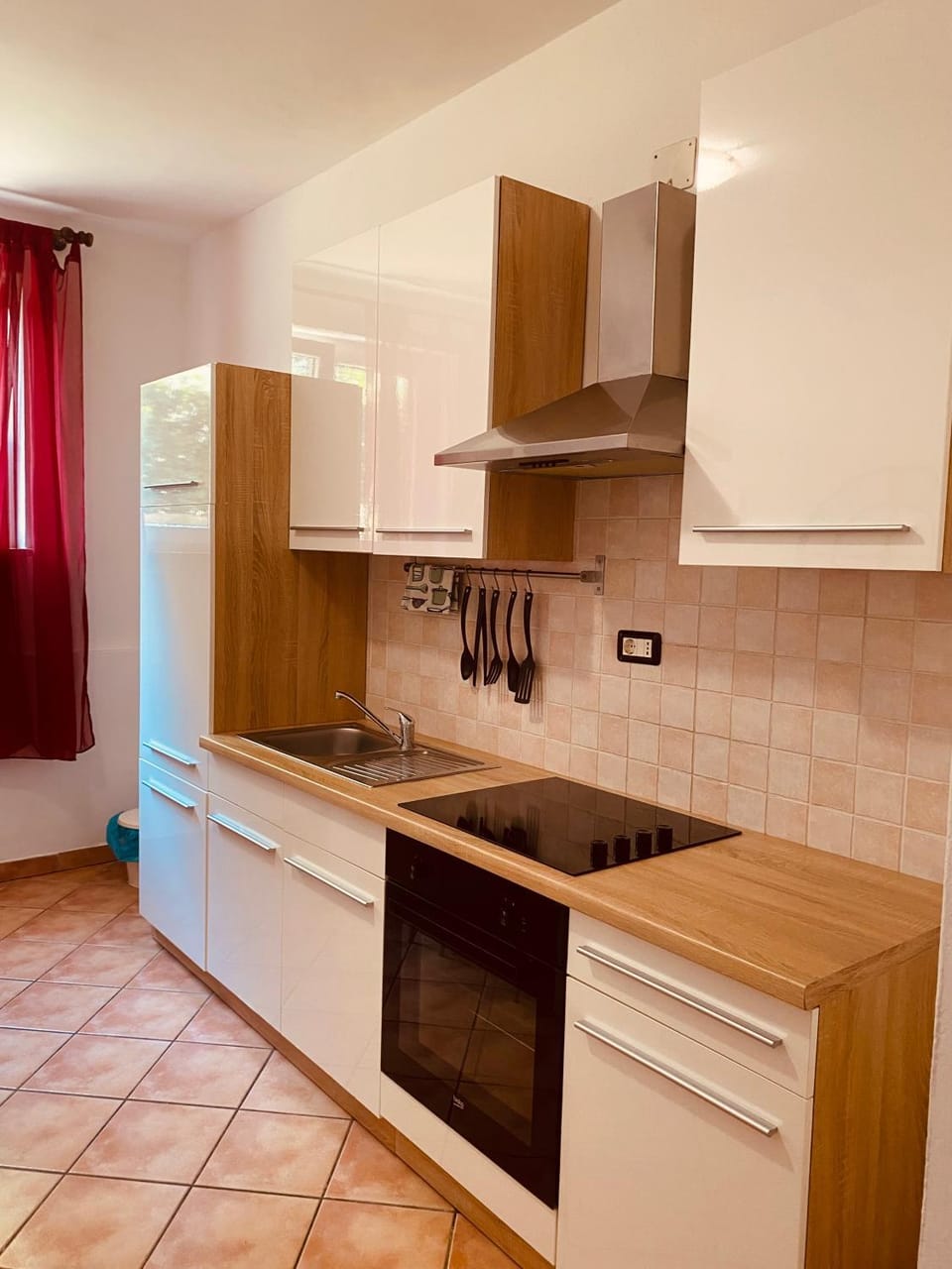 Salis Apartment in Novigrad