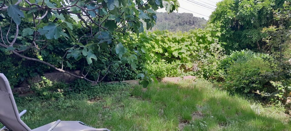 gite Sous le Figuier House in Provence-Alpes-Côte d'Azur