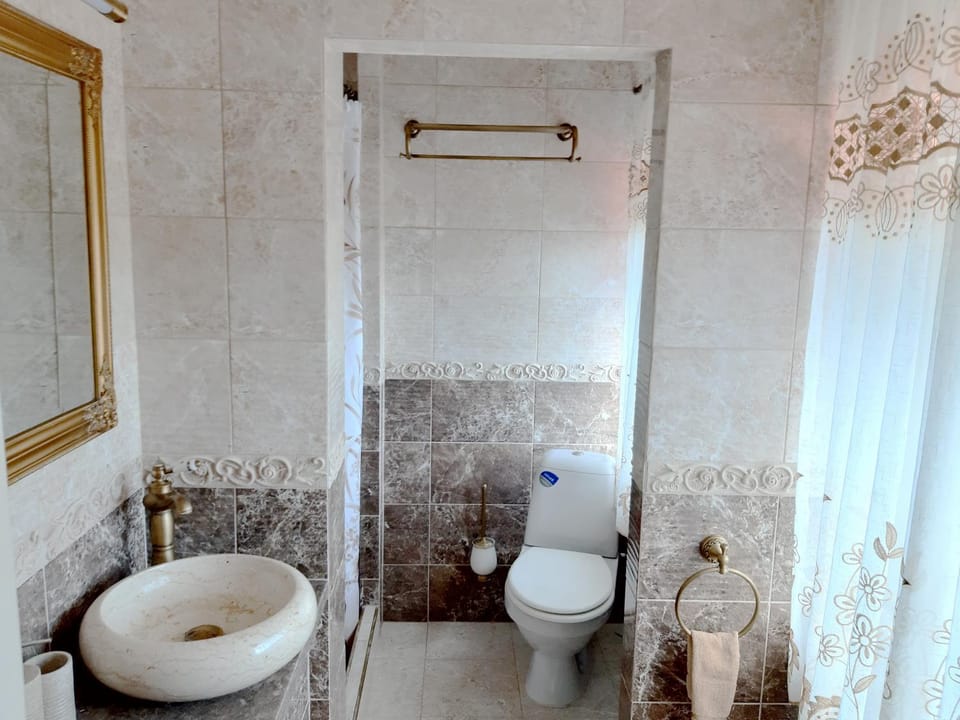 Shower, Toilet, Bathroom, Decorative detail, heating, towels
