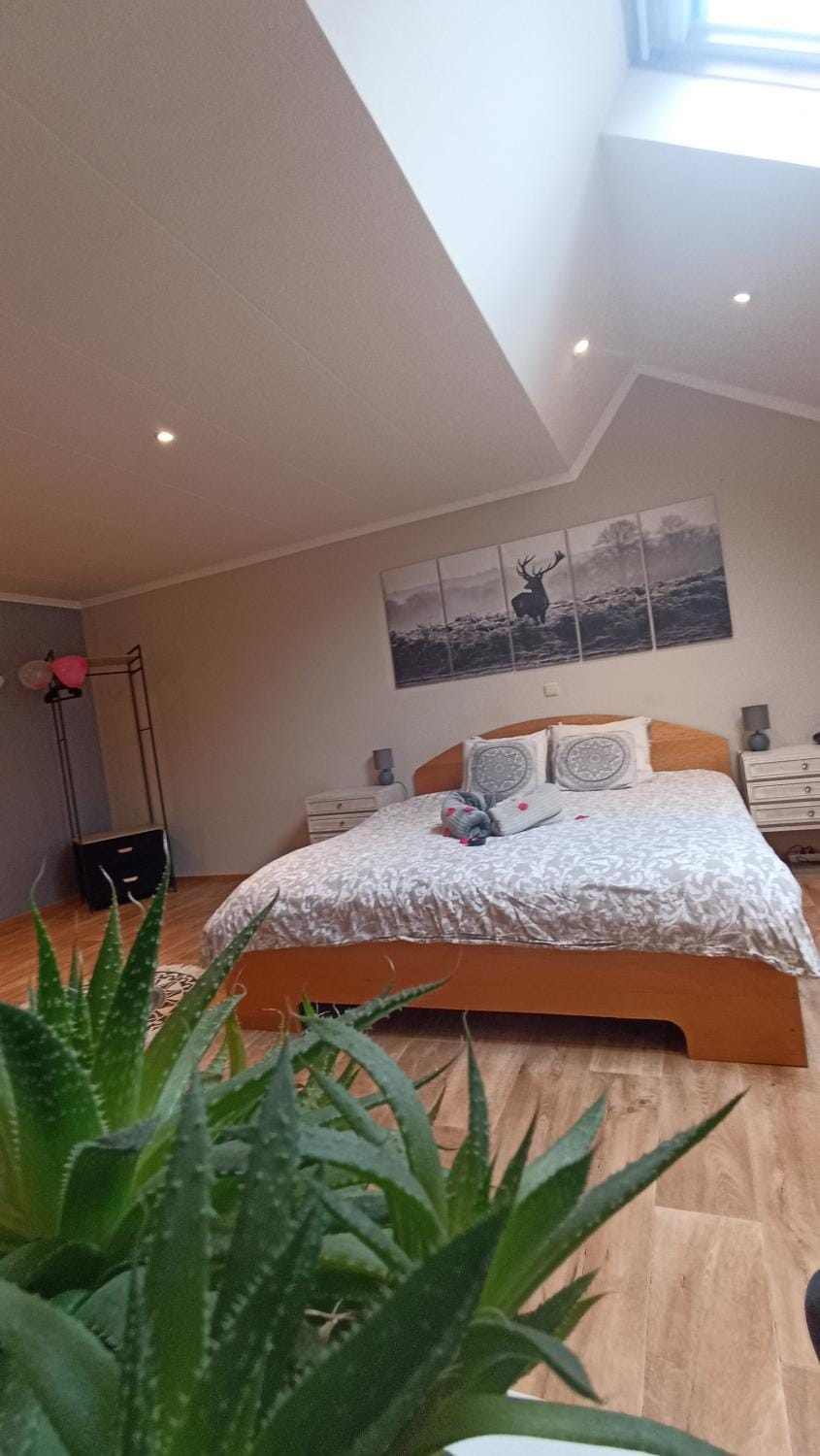Petites-Tailles - chambre d'hôtes Bed and Breakfast in Vielsalm