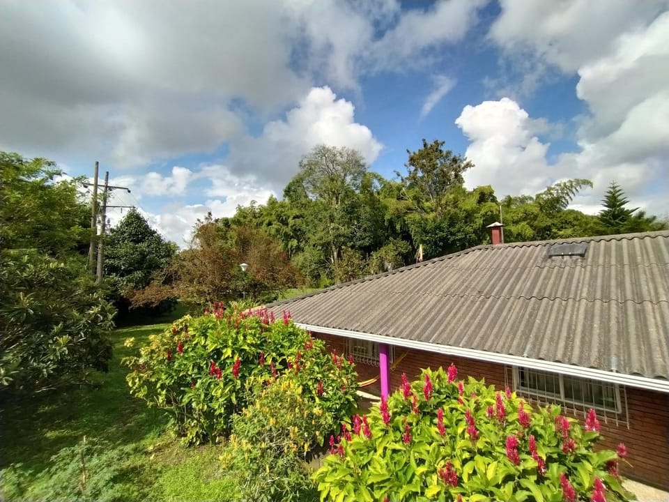Property building, Garden