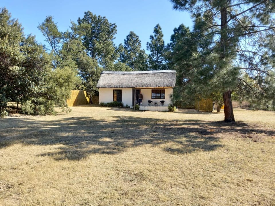 Property building, Garden, Garden view