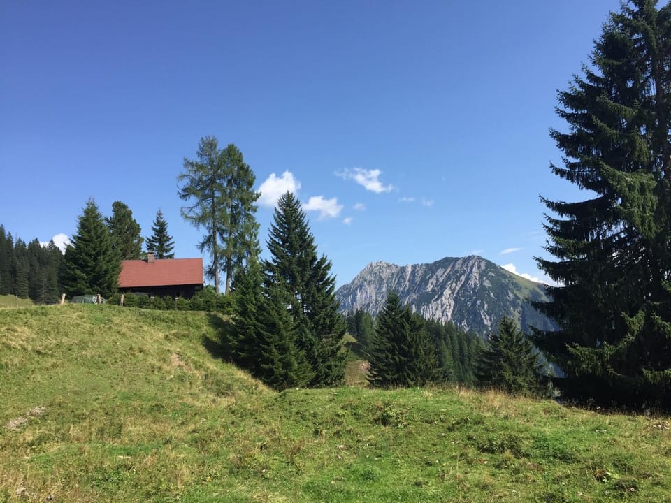 Jagdhütte Gammeringalm House in Upper Austria