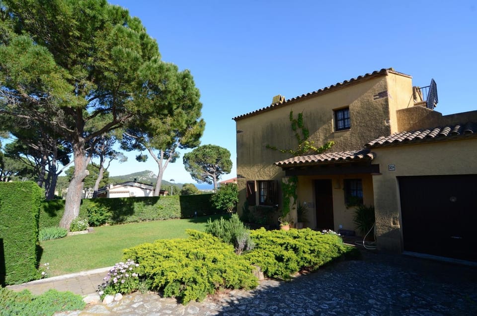 Patio, Garden, Garden view