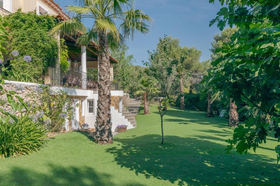 Garden, Garden, Garden view