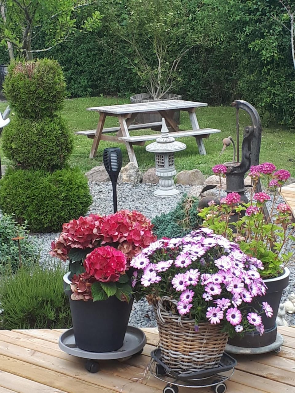 Garden view