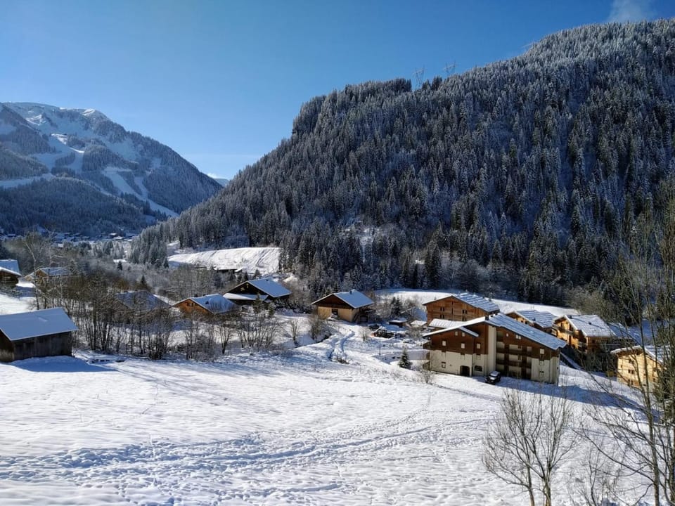 La chaumière des neiges Apartment in Châtel