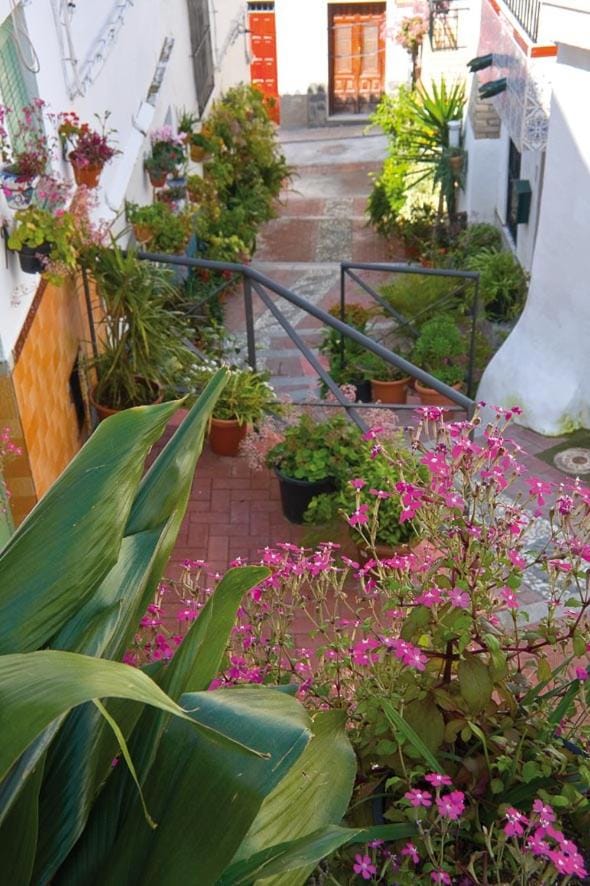 MIRADOR DEL VALLE Apartment in Costa Tropical