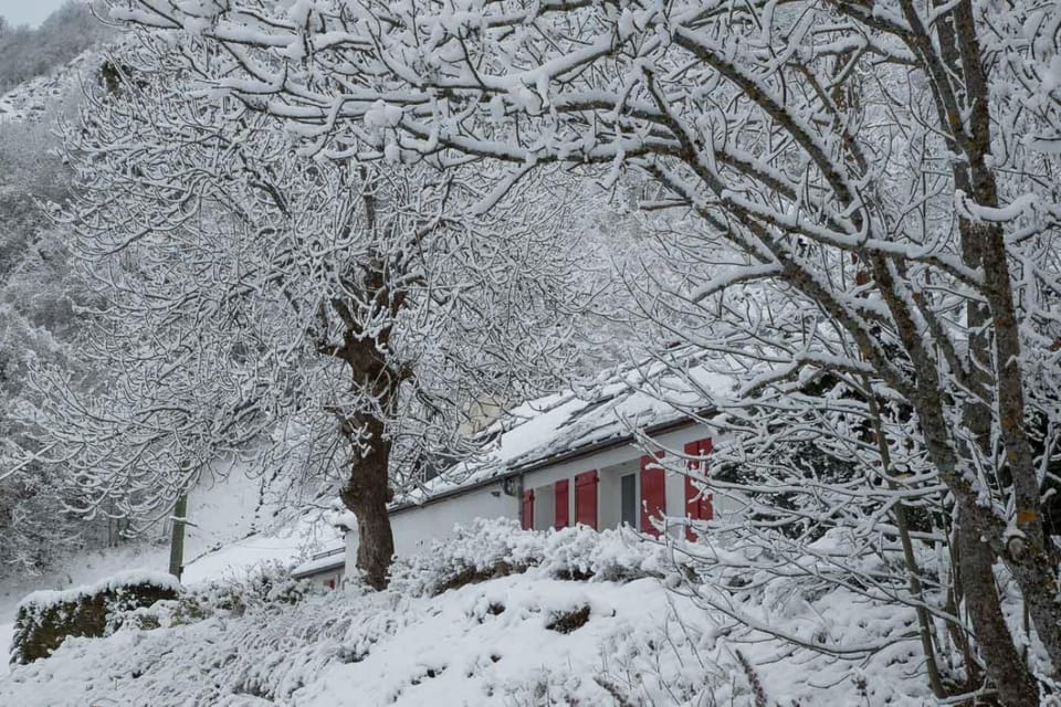 Property building, Winter