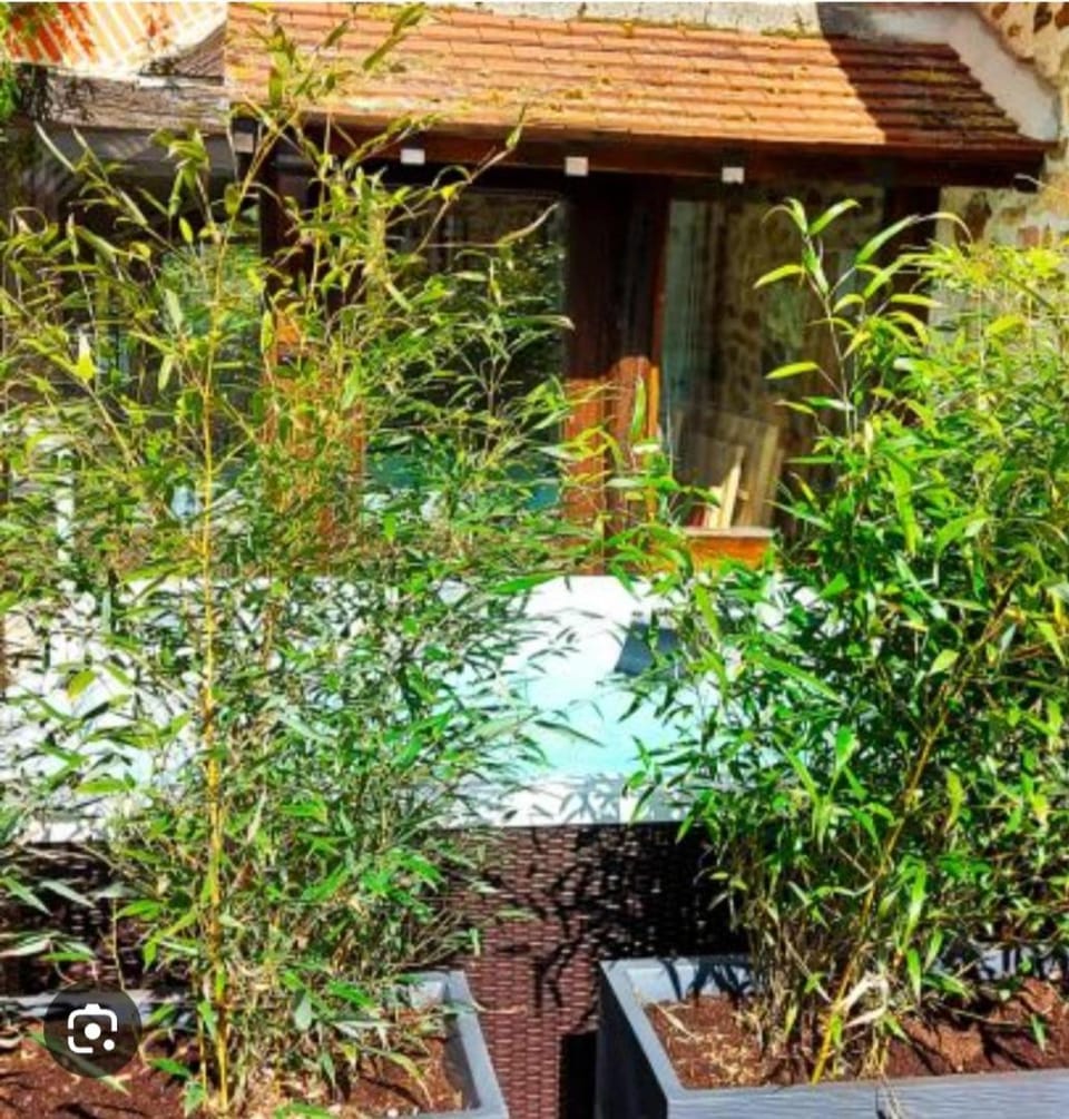 Les 3 Roses Bed and Breakfast in Centre-Val de Loire