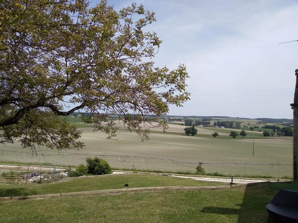 Natural landscape, Garden