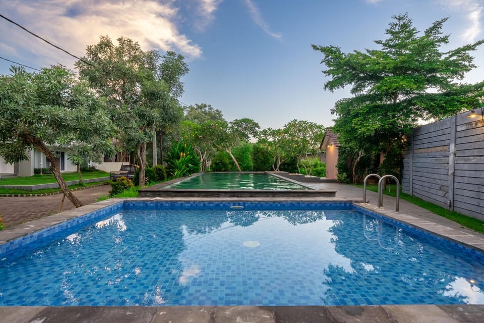 Day, Garden, Garden view, Pool view, Swimming pool