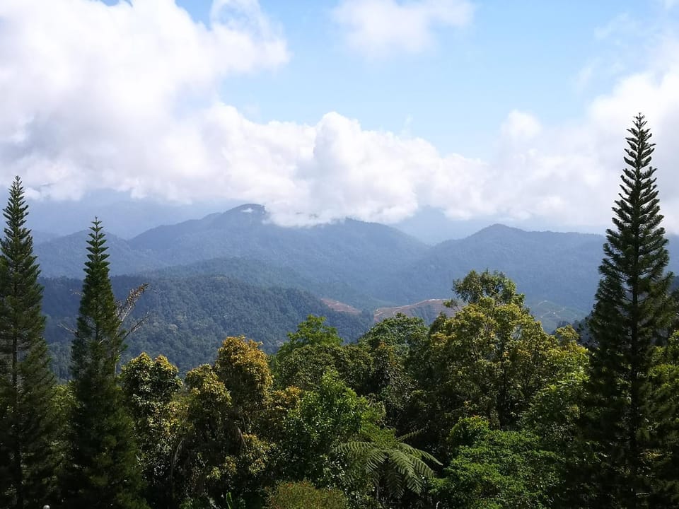 Mountain view
