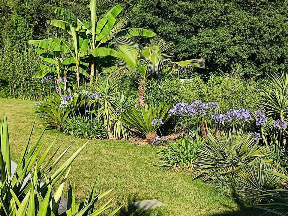 Spring, Natural landscape, Garden, Garden view