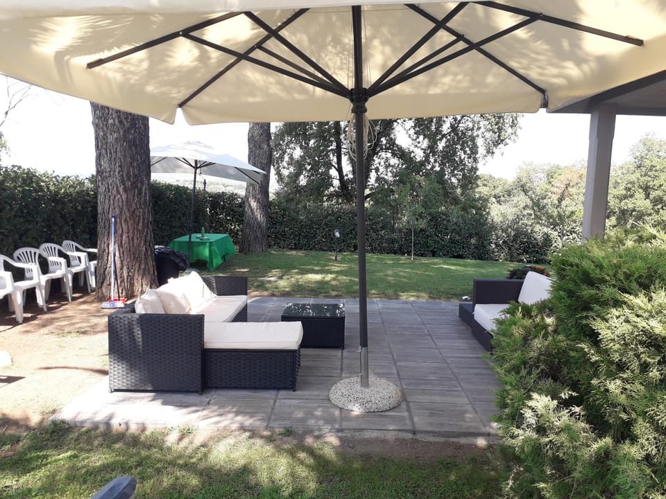Garden, Living room, Garden view, sunbed