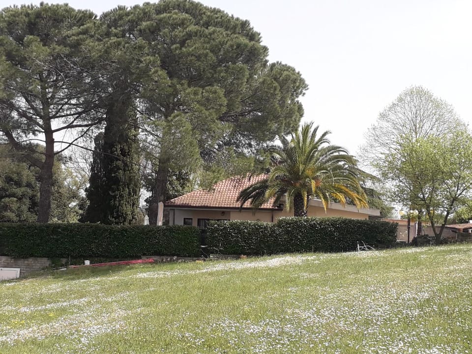 Property building, Garden view