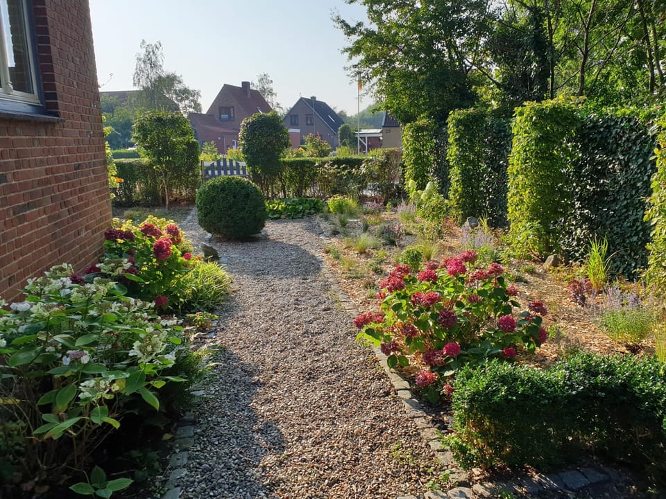 Summer, Garden, Garden, On site, Pets