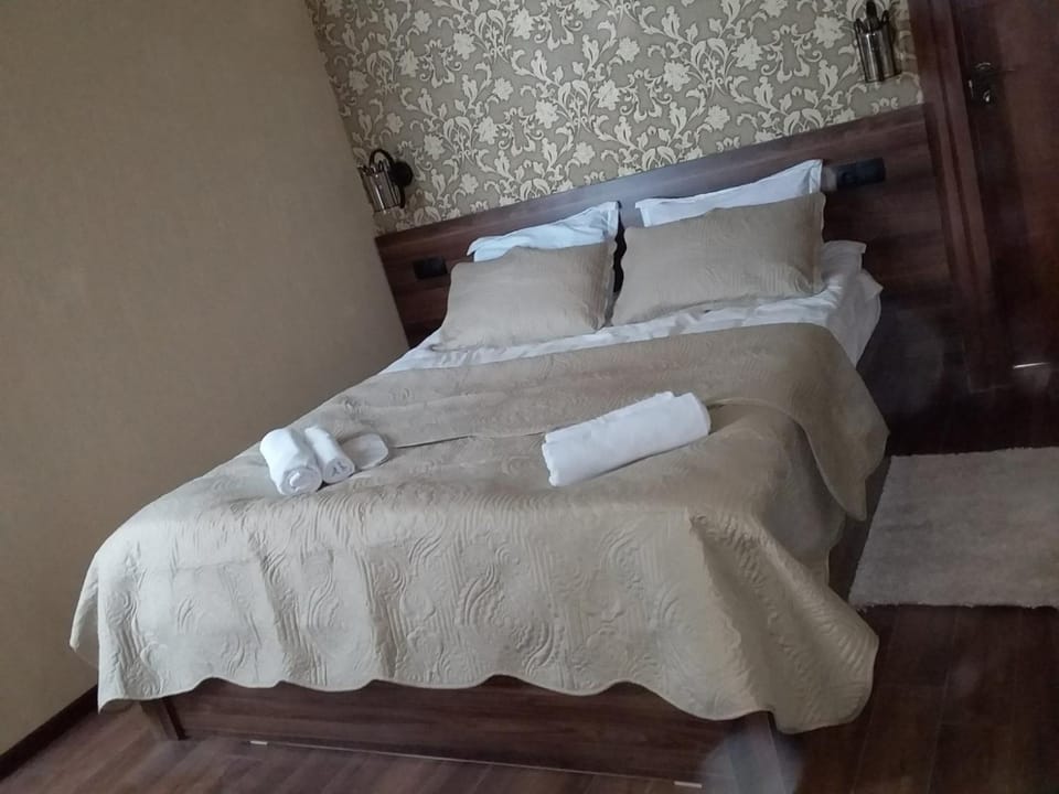 Cozy House Kazbegi Bed and Breakfast in Georgia