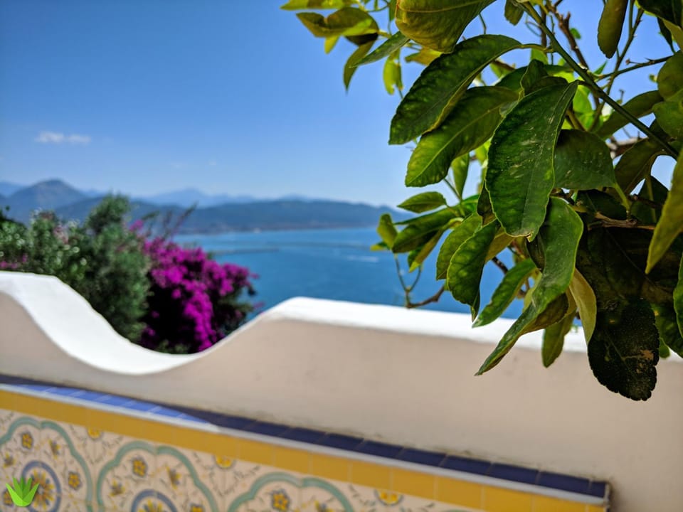 Facade/entrance, Summer, Sea view