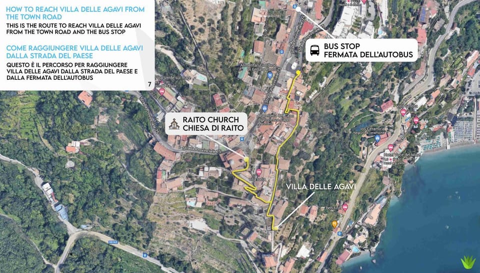 Neighbourhood, Natural landscape, Bird's eye view, Street view