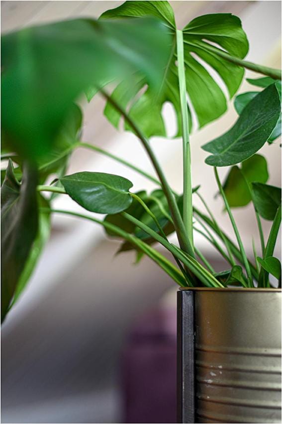 Hofje Margo Apartment in Zeeland, Netherlands