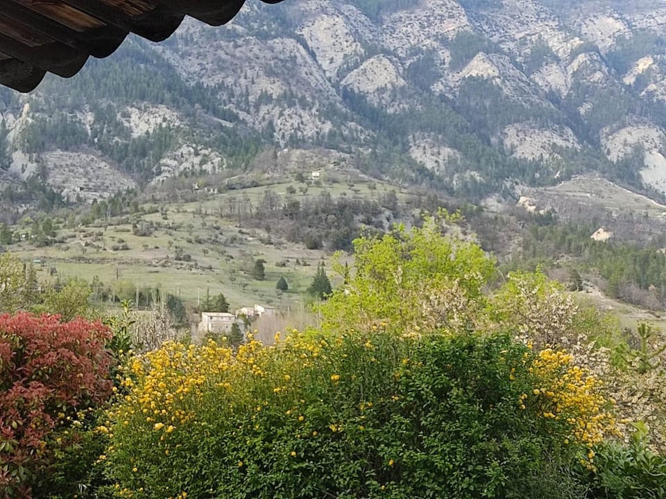 Mountain view