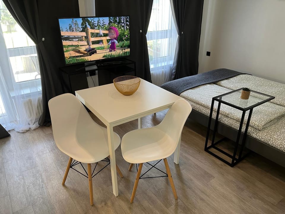 Near Ozas Studio Apartment in Vilnius