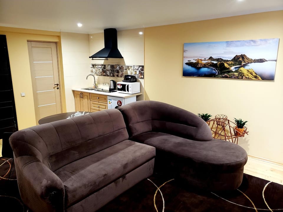 Kitchen or kitchenette, Living room, Seating area, Dining area