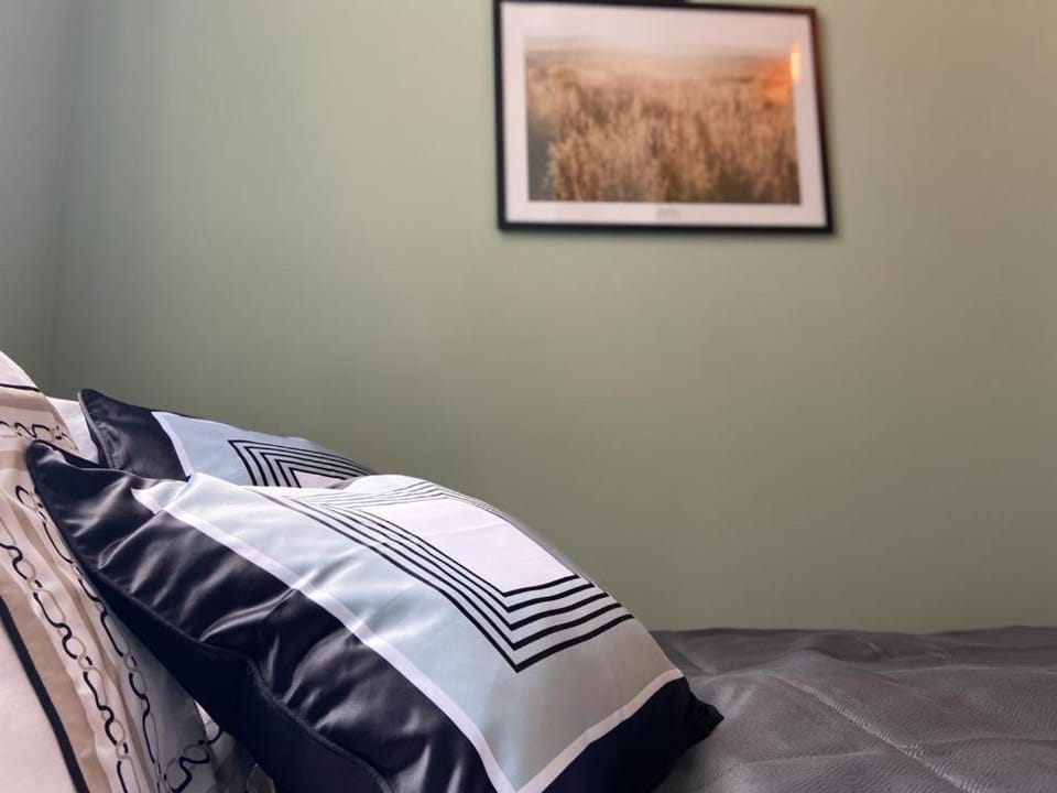 Apartement City Centre with roof terrace and parking with additional costs Apartment in The Hague