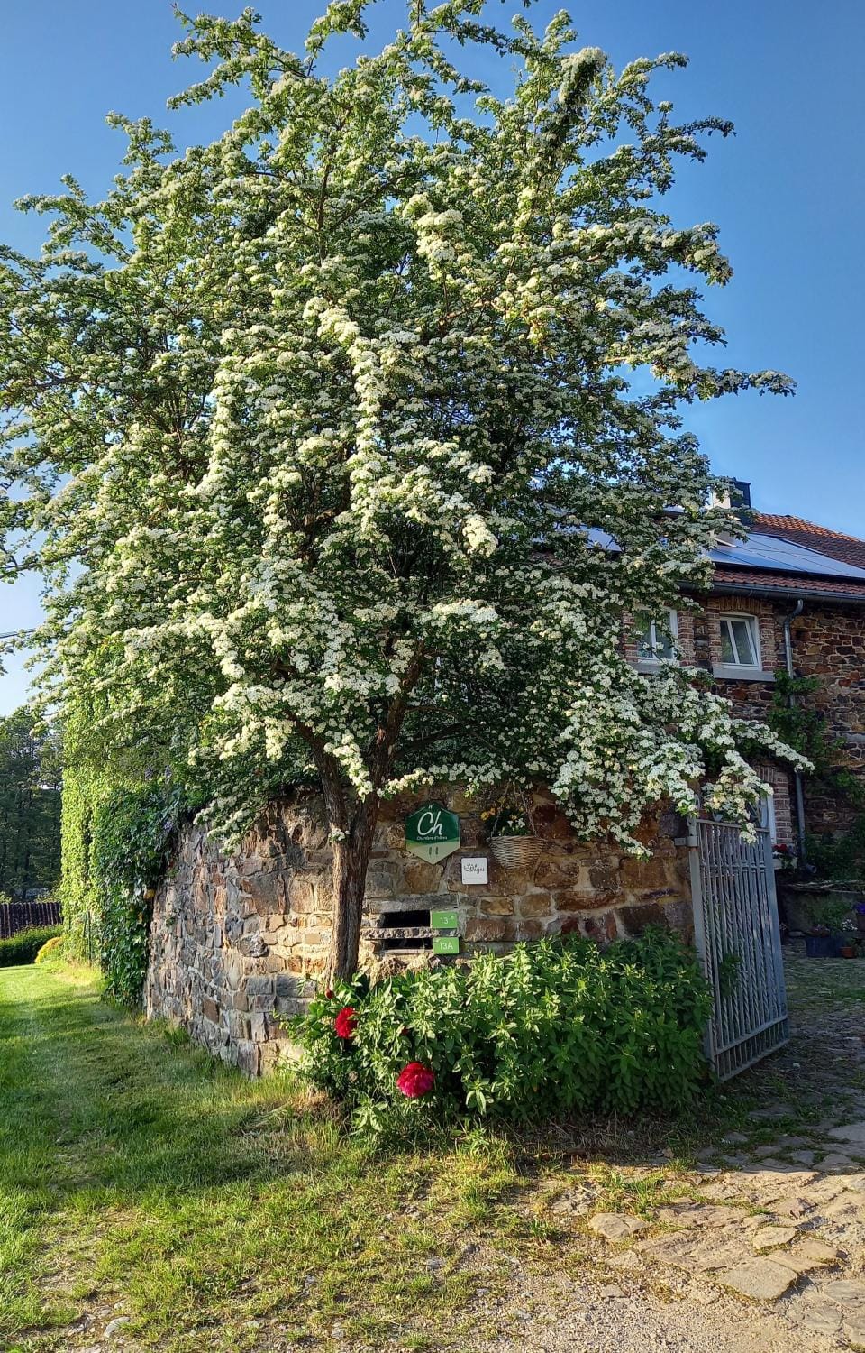 Facade/entrance, Spring