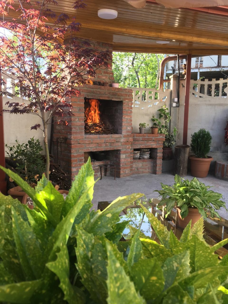 Patio, Seating area