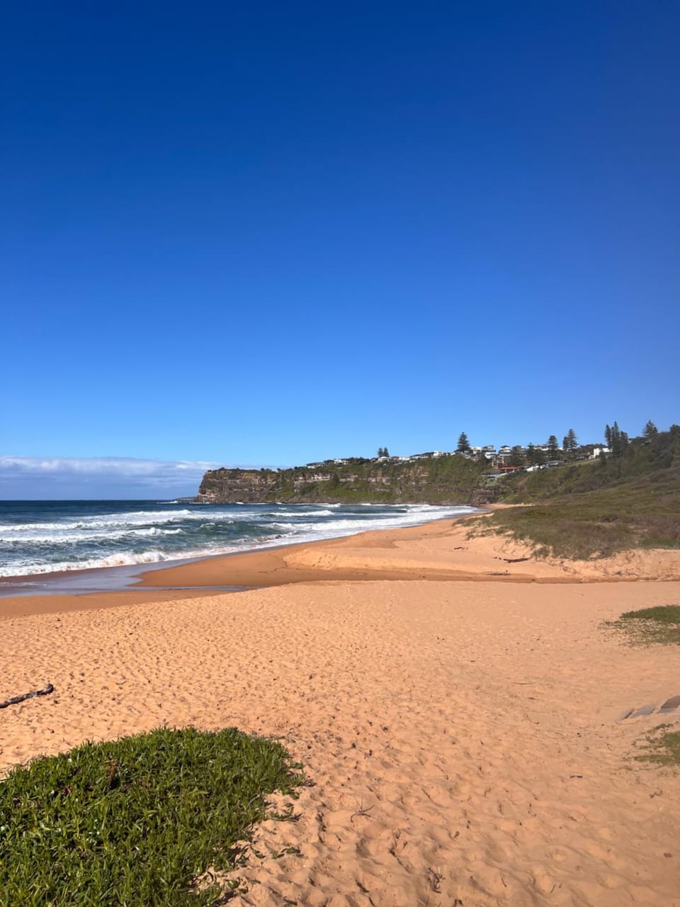 Casa de Piña walk to the beach Apartment in Pittwater Council
