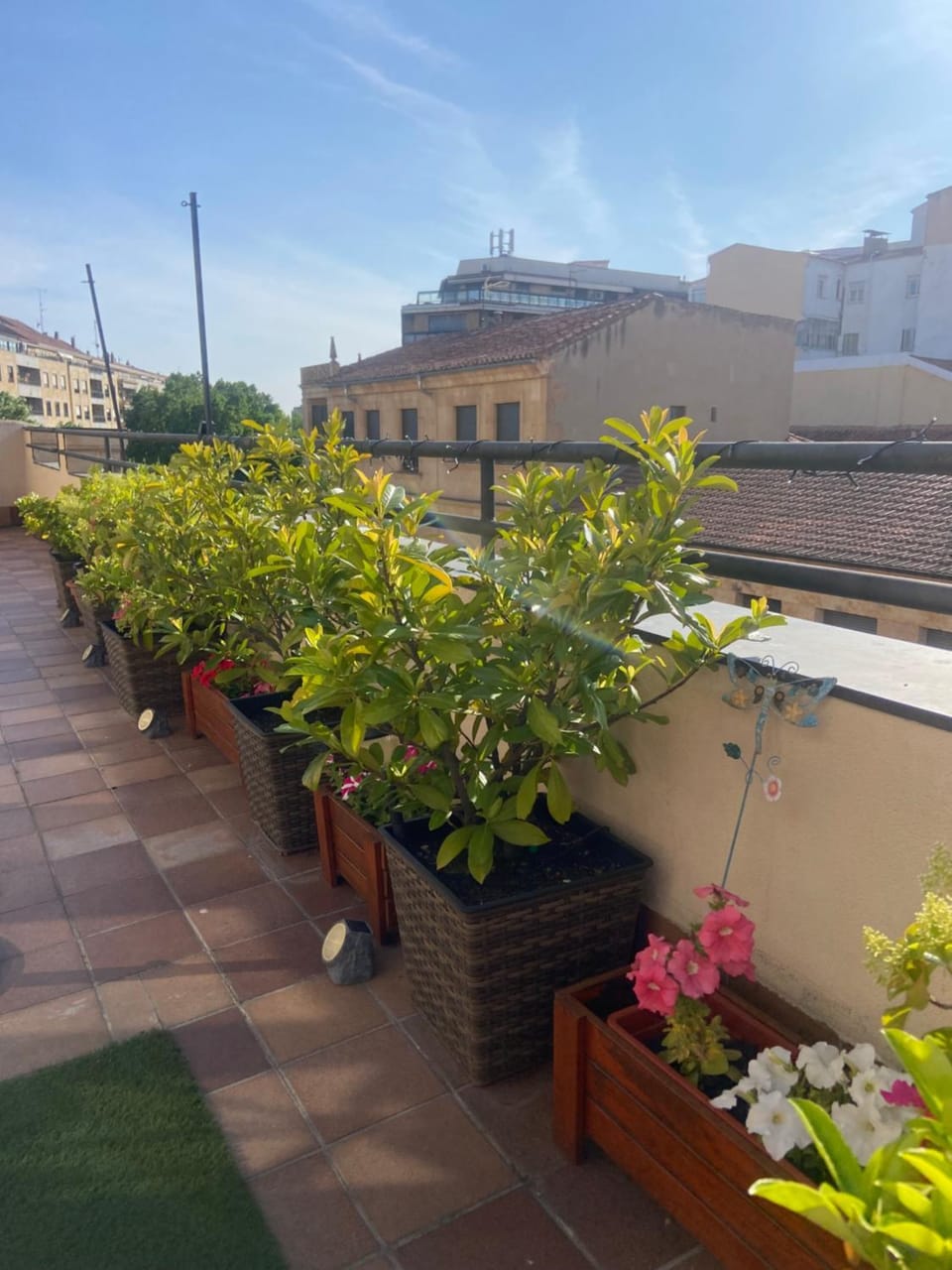 Balcony/Terrace, Balcony/Terrace