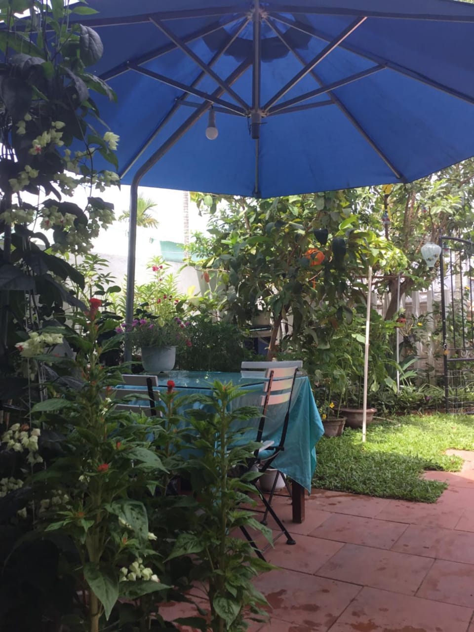 Patio, Garden