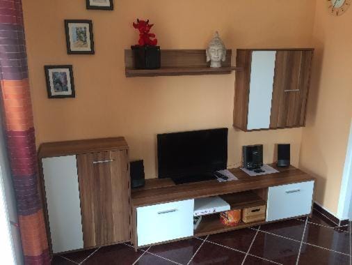 TV and multimedia