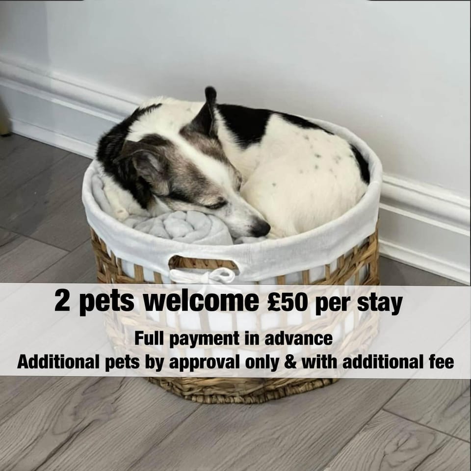 Pets