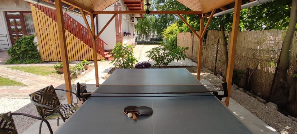 Table tennis