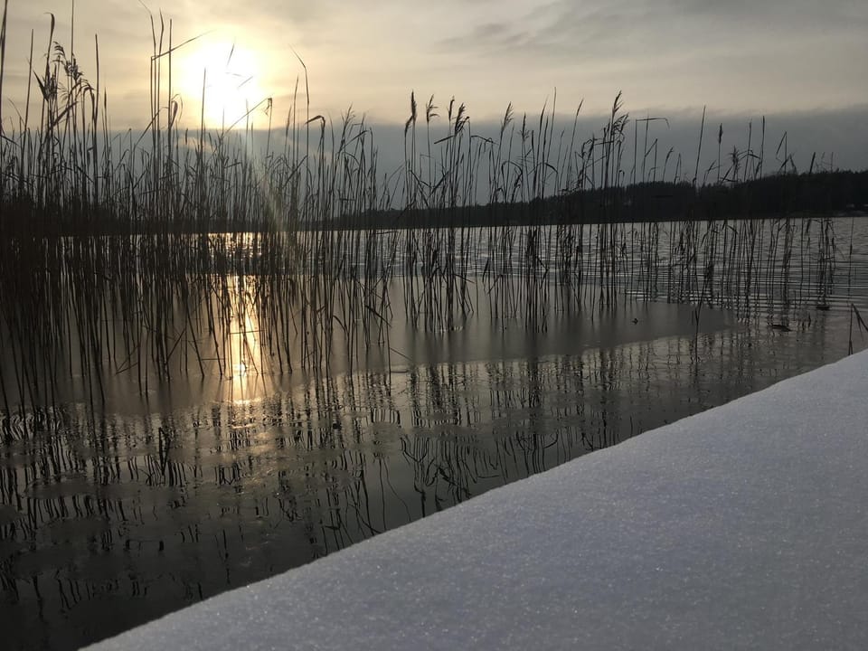 Winter