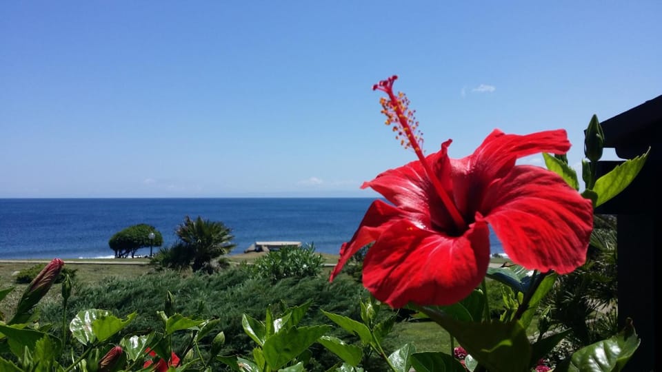 Natural landscape, Sea view