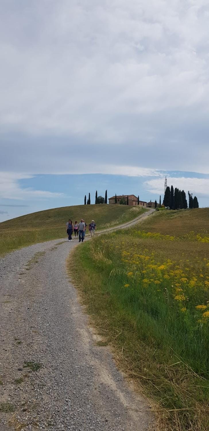 Natural landscape, group of guests