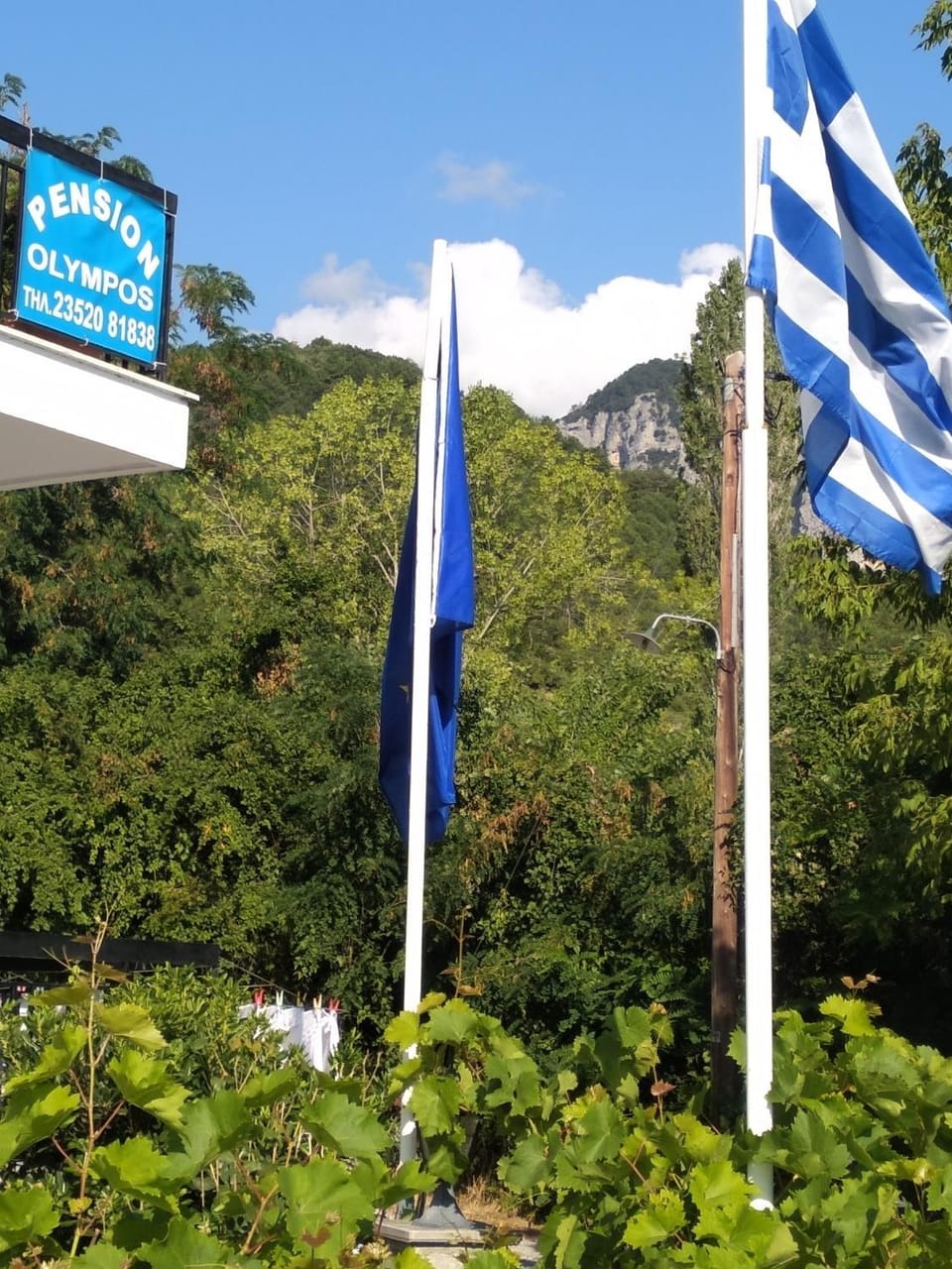 Spring, Day, Property logo or sign, Natural landscape, Mountain view