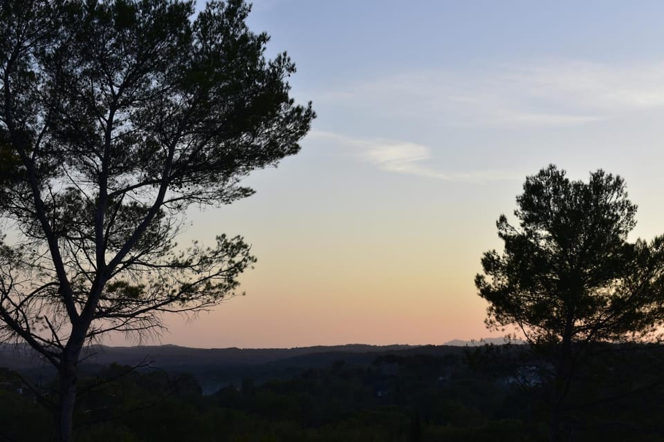View (from property/room)