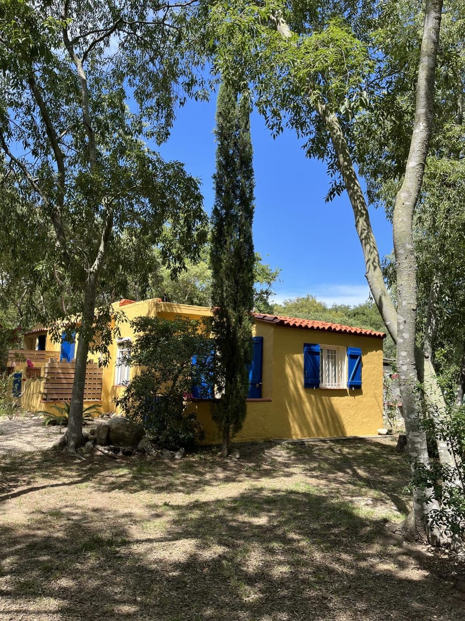 Garden view