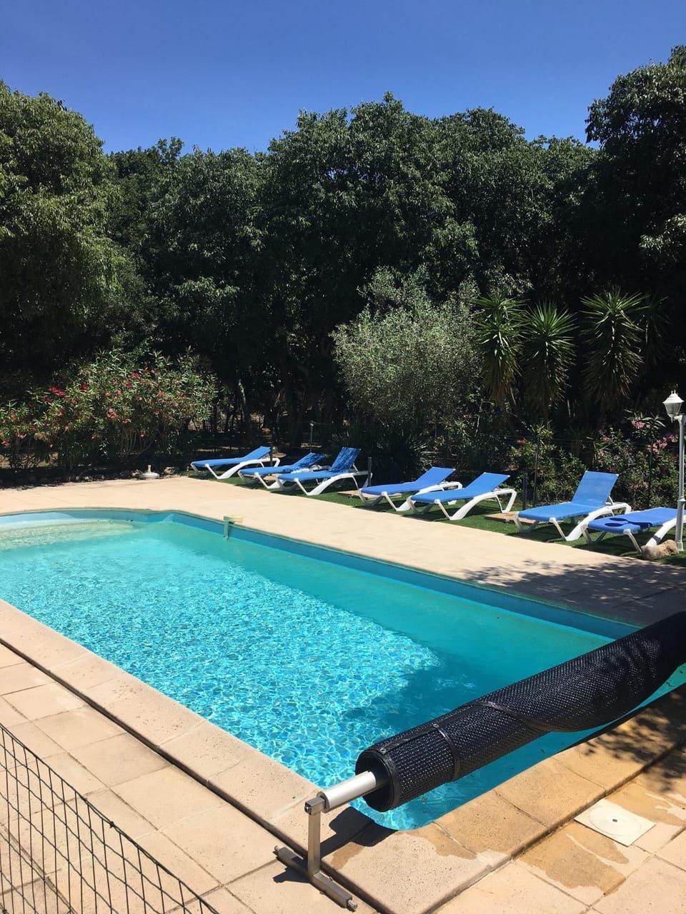 Pool view, Swimming pool, Swimming pool